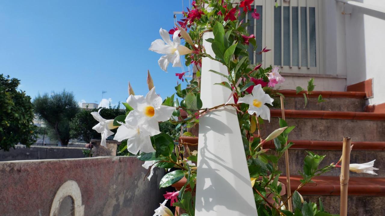 Casa Vacanza Anacapri Sunrise Eksteriør billede